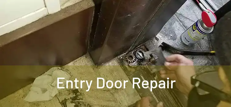 Entry Door Repair